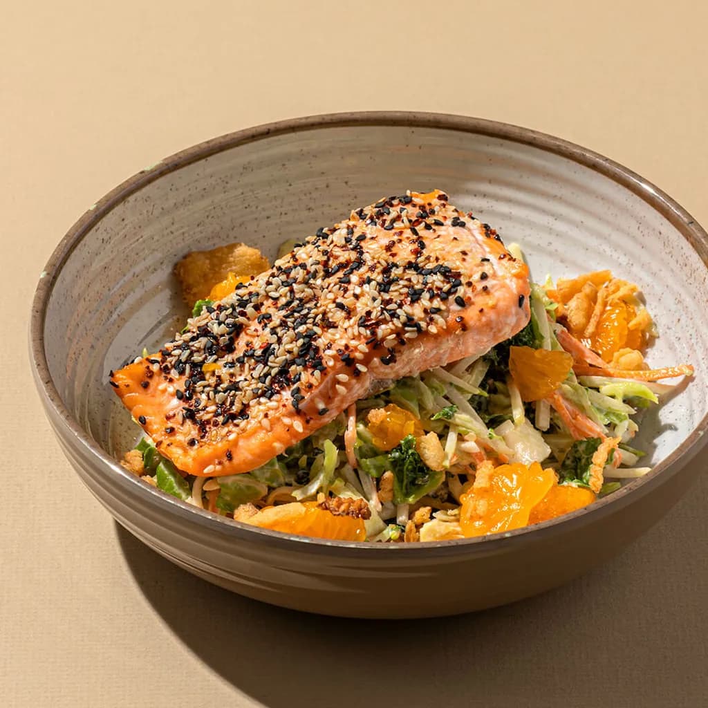 Sesame-Crusted Salmon with Veggie Salad