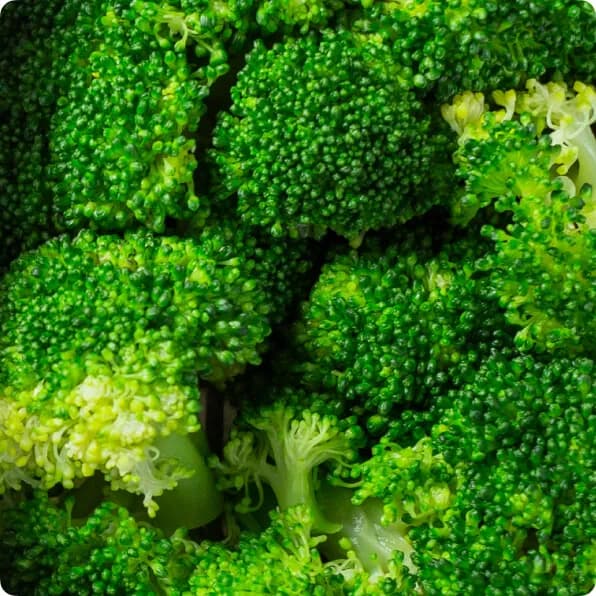 Broccoli